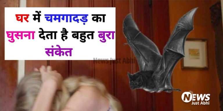 अगर आपके घर में छिपकली दिखाई देता है तो, जानें क्‍या है इसका संकेत, समझ लीजिए ये काम होने वाला है‹ ⤙