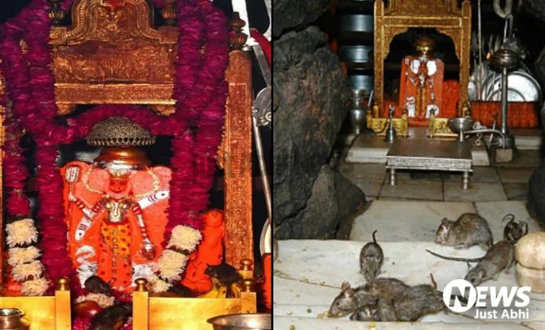 5 हजार चूहों से भरा है माता का ये अनोखा मंदिर, दर्शन के लिए भक्तों को दिए जाते हैं ये खास निर्देश ⤙