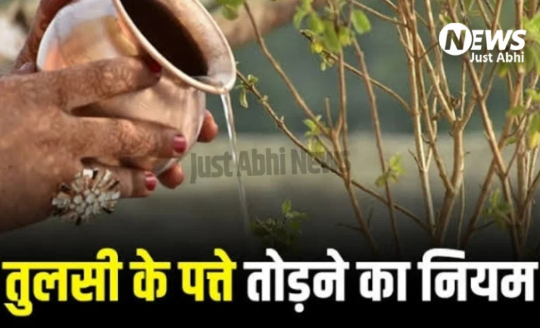 रात के समय तुलसी क्यों नहीं तोड़नी चाहिए, जानें क्या कहता है शास्त्र, भगवान श्रीकृष्ण से भी है इसका सम्बन्ध ⤙