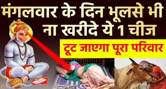 मंगलवार को भूल से भी ना करें ये 5 कार्य, वरना बन जाएंगे बर्बादी का कारण ⤙