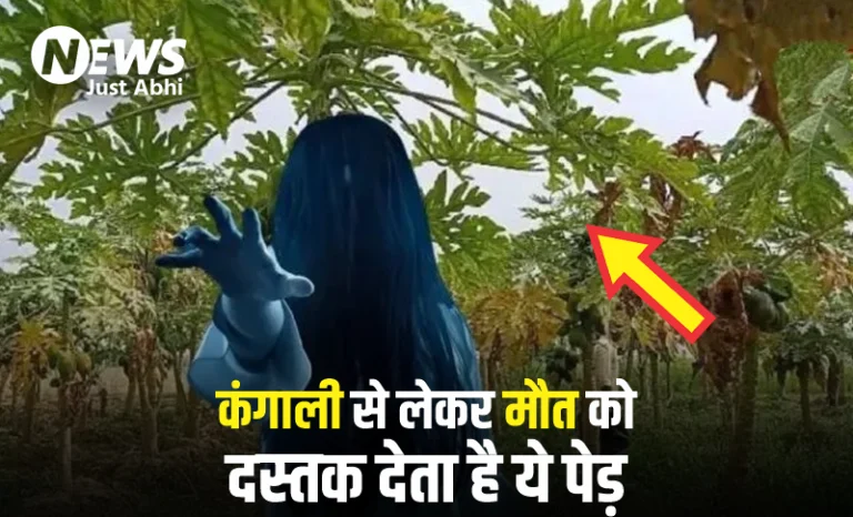 मौत को बुलावा देता है पेड़। भूलकर भी कभी न लगाए इसे अपने घर के बाहर। कंगाली से लेकर मौत तक को देता है दस्तक  ⤙