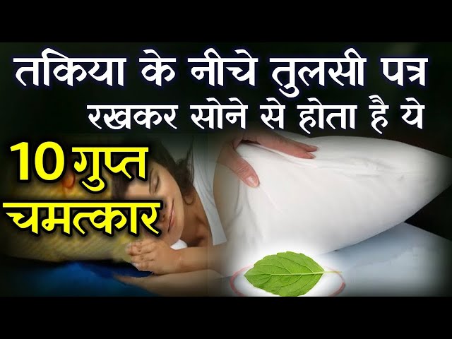 तुलसी के पांच पत्ते तकिये के नीचे रखे फिर देखे आपकी किस्मत कमाल ⤙