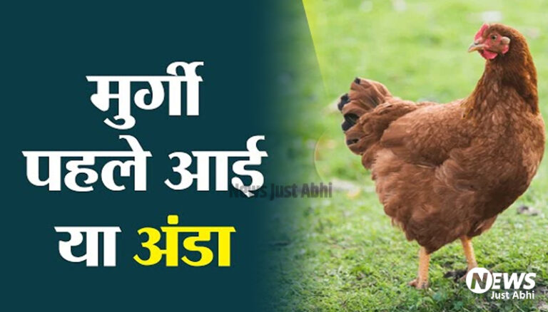 मिल गया जवाब: पहले मुर्गी आई या अंडा, इस सवाल का पक्का जवाब मिल गया ˠ