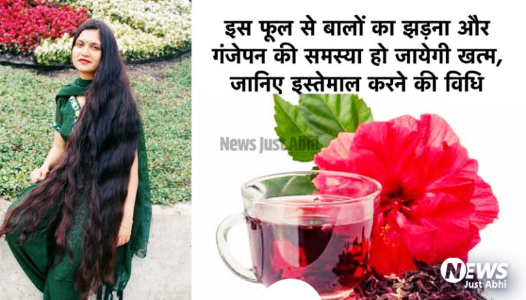 इस चमत्कारी फूल से बालों का झड़ना और गंजेपन की समस्या हो जाएगी खत्म, जानिए इसे इस्तेमाल करने का सही तरीका 〥