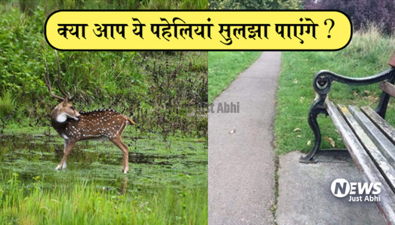 सिर्फ तेज दिमाग वाले लोग ही सुलझा पाएंगे ये 6 पहेलियां, क्या आपके दिमाग में है वो बात• ˠ