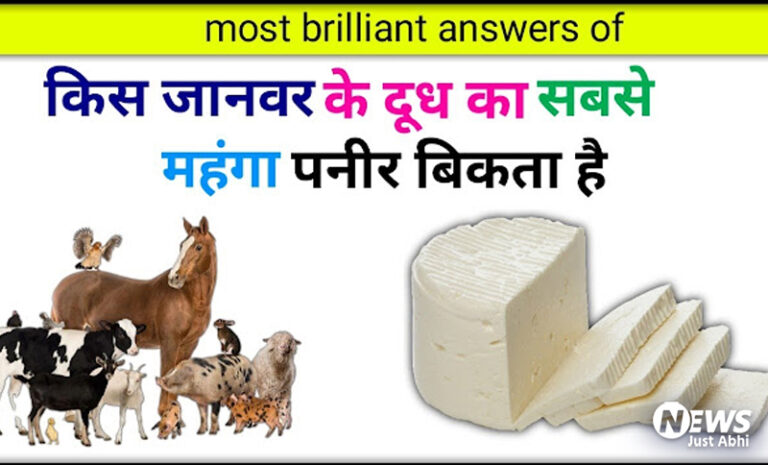 दुनिया का सबसे महंगा पनीर किस जानवर के दूध से बनता है? जानकर चौंक जाएंगे ˠ