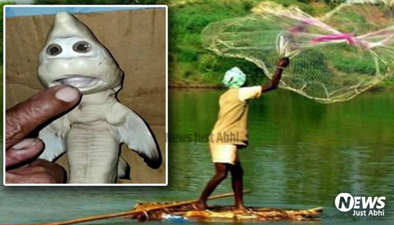 मछुआरे ने पकड़ी प्रेग्नेंट मछली, पेट चीरा तो अंदर निकला इंसानी शक्ल वाला बेबी  ˠ