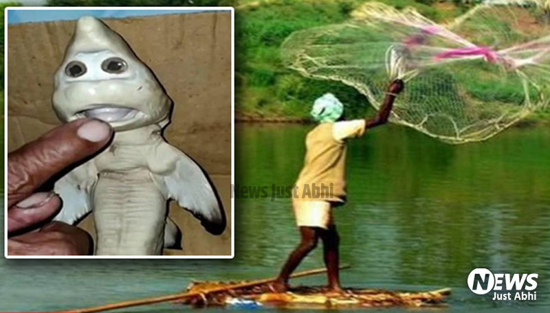 मछुआरे ने पकड़ी प्रेग्नेंट मछली, पेट चीरा तो अंदर निकला इंसानी शक्ल वाला बेबी  ˠ