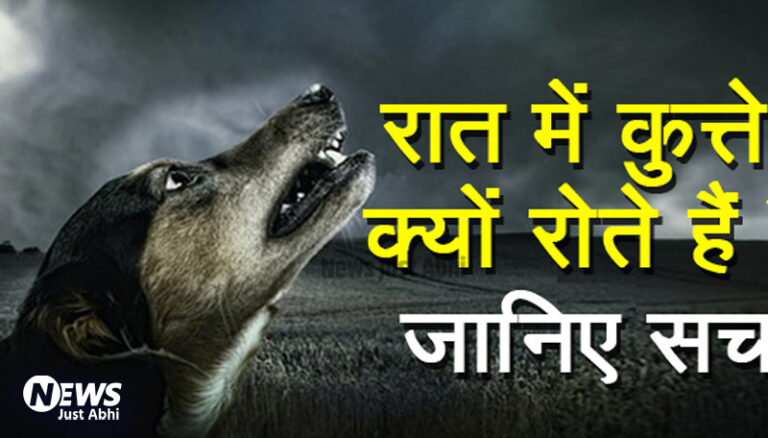 क्यूँ रोते हैं कुत्ते? क्या सच में उन्हें दिखता है कोई भूत? जानिए क्या होता है जब कुत्ता रोता है  ˠ