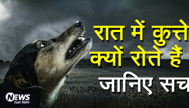 क्यूँ रोते हैं कुत्ते? क्या सच में उन्हें दिखता है कोई भूत? जानिए क्या होता है जब कुत्ता रोता है  ˠ