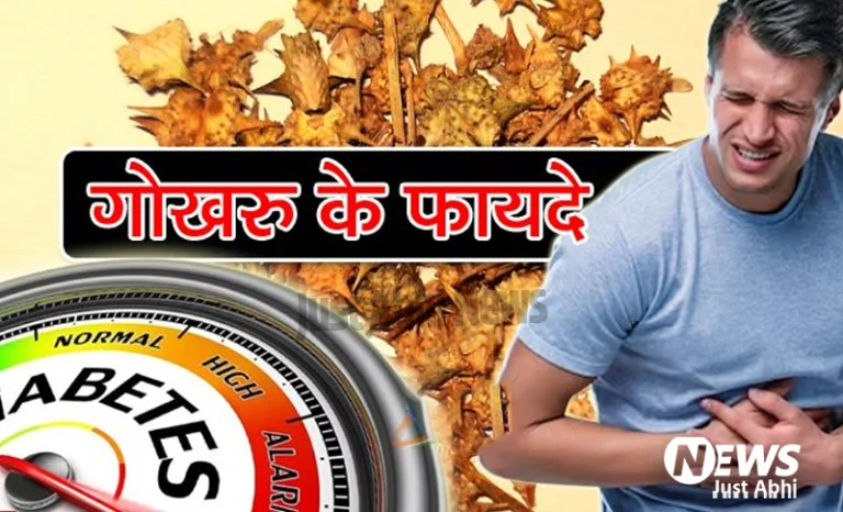 गोखरू के सेवन करने से पुरुषों को मिलते हैं यह फायदे.. जानिये गोखरू के फायदे 〥