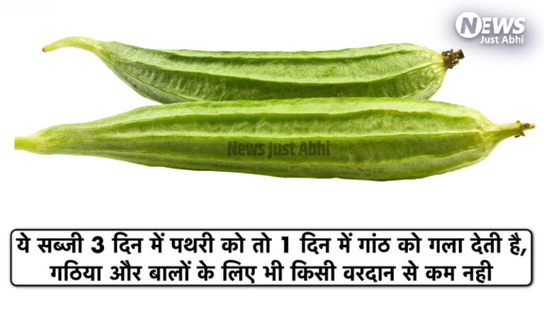 यह चमत्कारी सब्जी 3 दिन में पथरी और 1 दिन में गांठ को कर देती है खत्म, गठिया और बालों के लिए भी है किसी वरदान से कम! 〥 यह चमत्कारी सब्जी 3 दिन में पथरी और 1 दिन में गांठ को कर देती है खत्म, गठिया और बालों के लिए भी है किसी वरदान से कम! 〥