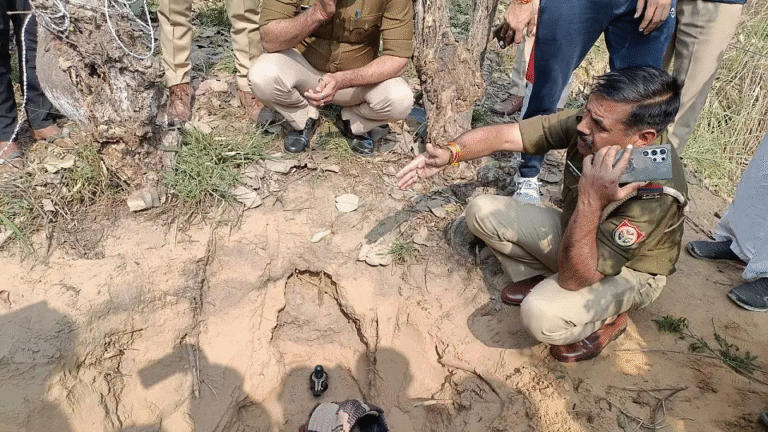 यूपी में सरकारी भूमि की खोदाई में निकला प्राचीन शिवलिंग, उमड़ी ग्रामीणों की भीड़; कई अफसर भी पहुंचे  ˠ