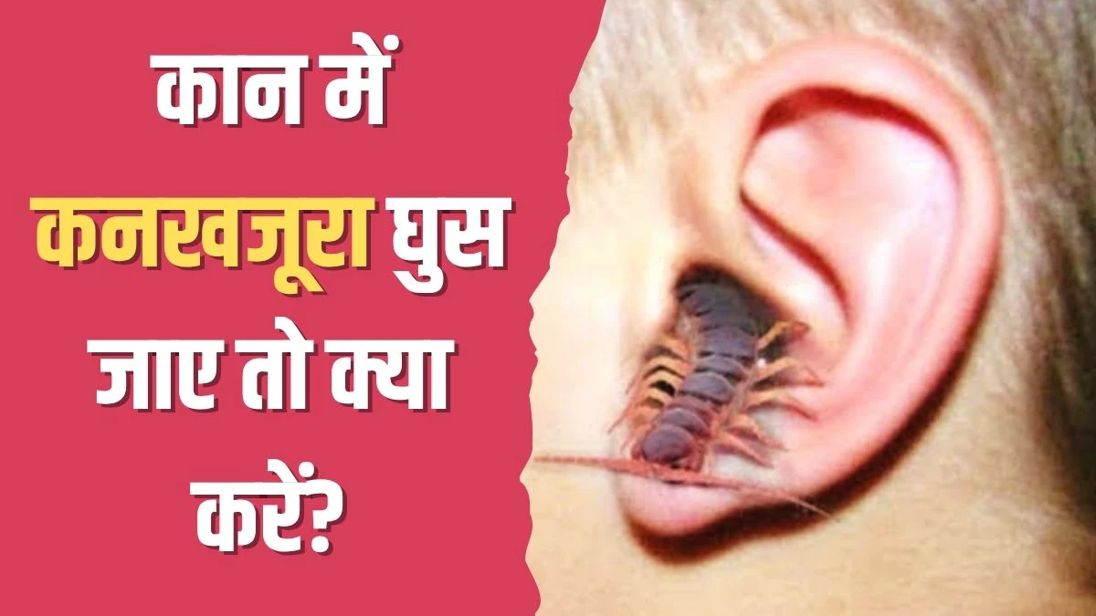 कान में कनखजूरा घुस जाए तो क्या करें? योग गुरु कैलाश बिश्नोई ने बताया इस एक काम को करने पर तुरंत आ जाएगा बाहर