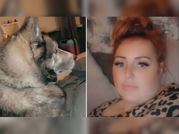 आधी रात अचानक बिस्तर पर दिखा विशालकाय कुत्ता