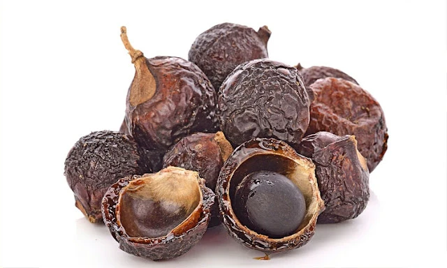 बवासीर का सिर्फ 7 दिन में जड़ से सफाया कर देगा रीठा, ऐसे ही इसके 55 अद्भुत फायदे जान चौंक जाएंगे आप!!