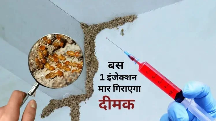 दीमक से परेशान हैं? मात्र 10 रुपये में बनाएं यह शक्तिशाली इंजेक्‍शन ...बस लगाते ही जमीन पर बेहोश होकर गिर पड़ेंगी