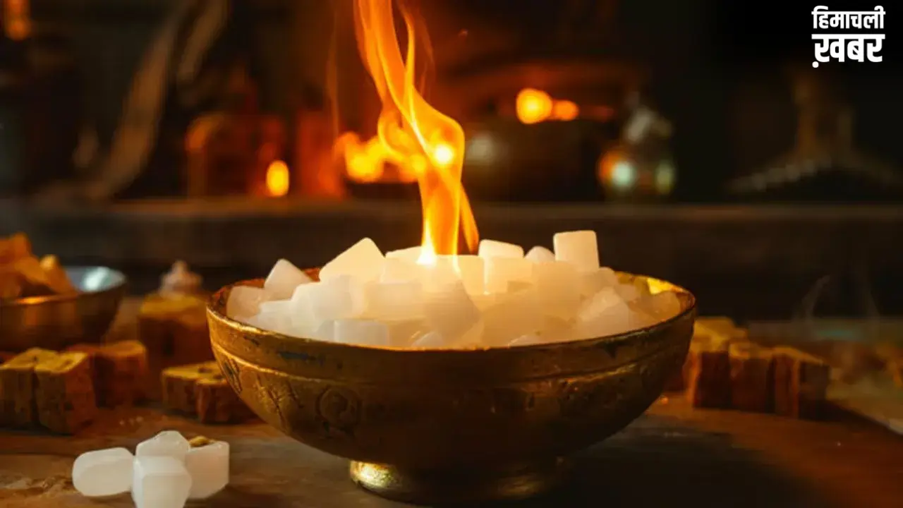Camphor: गृहक्लेश और तनाव से कैसे मिलेगा छुटकारा? घर में इन 4 स्थानों पर रखें कपूर, हो सकता है चमत्कार!