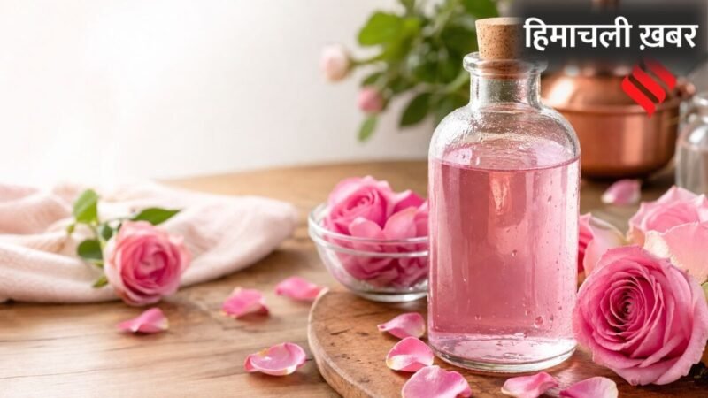 कुदरती निखार के लिए बाजार से क्यों खरीदें, इस तरह घर पर बनाएं ताजा और शुद्ध गुलाब जल