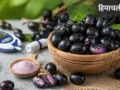 गर्मियों में मिलने वाला यह काला फल है डायबिटीज का काल! बस जान लें खाने का सही तरीका