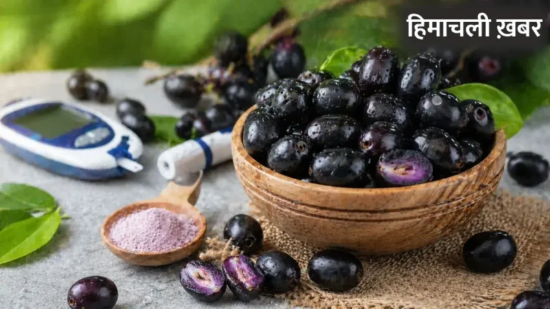 गर्मियों में मिलने वाला यह काला फल है डायबिटीज का काल! बस जान लें खाने का सही तरीका
