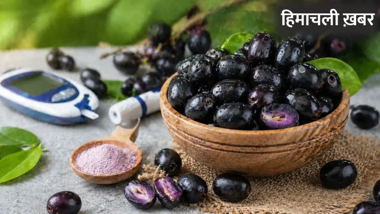 गर्मियों में मिलने वाला यह काला फल है डायबिटीज का काल! बस जान लें खाने का सही तरीका