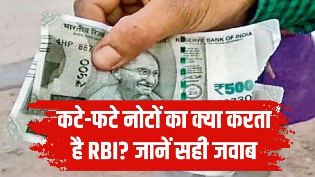 RBI Rules: कटे-फटे नोटों के साथ क्या किया जाता है? आधे इंडिया को नहीं पता इसका सही जवाब