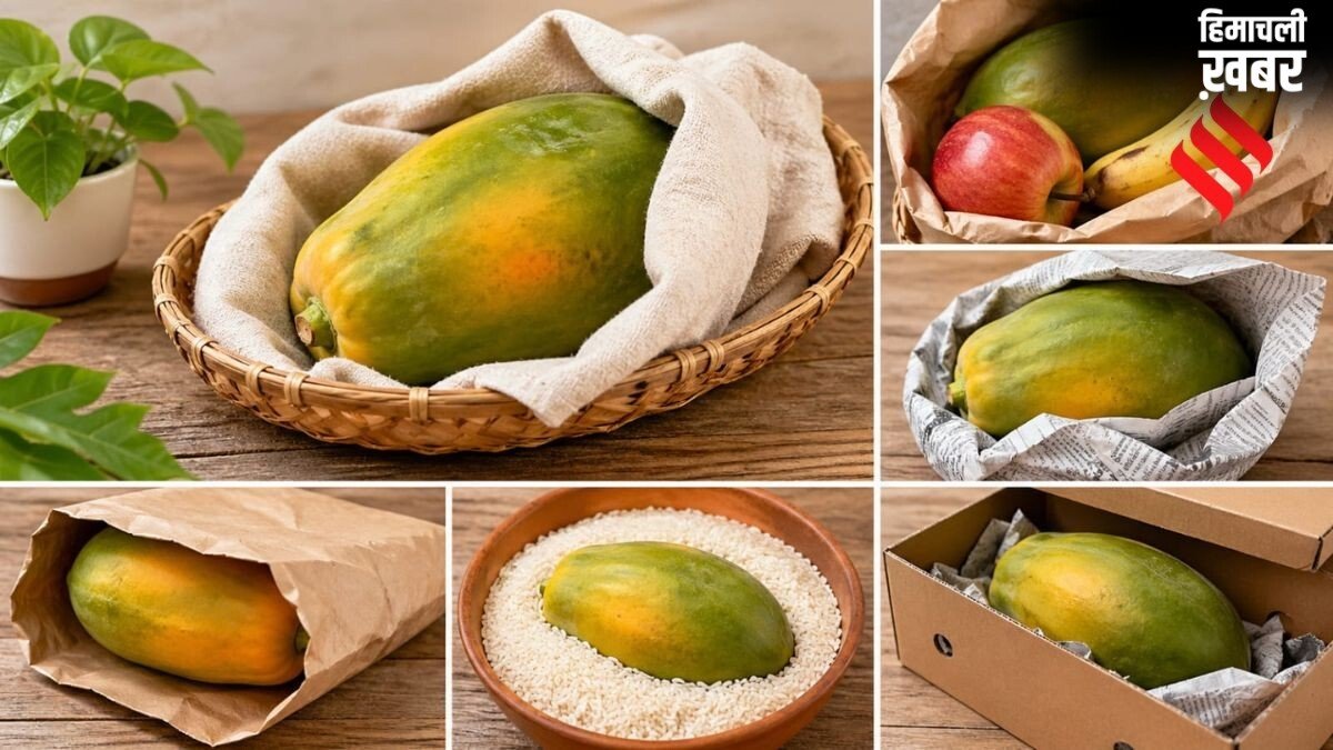 नहीं खाना मार्केट का पपीता, तो घर पर इन 3 देसी तरीकों से पकाएं