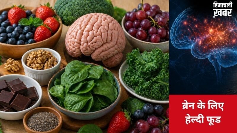 Memory Tips for Kids: याददाश्त तेज करने में मददगार हो सकते हैं ये 5 फूड्स, बच्चों की डाइट के लिए क्या कहती है रिसर्च और एक्सपर्ट्स