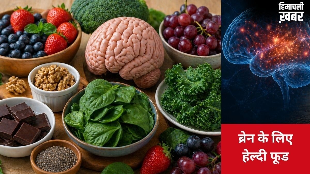 Memory Tips for Kids: याददाश्त तेज करने में मददगार हो सकते हैं ये 5 फूड्स, बच्चों की डाइट के लिए क्या कहती है रिसर्च और एक्सपर्ट्स