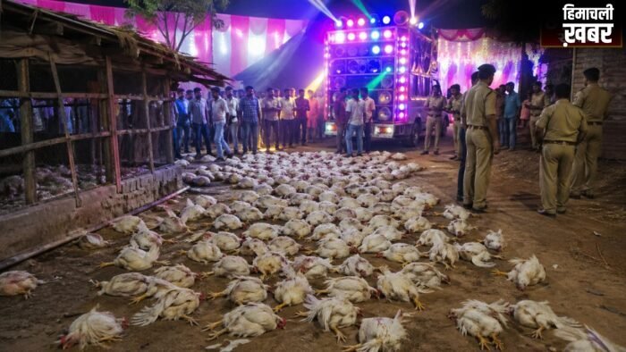 UP News: DJ की तेज धुन बनी 140 मुर्गियों की मौत की वजह, जांच में जुटी पुलिस…