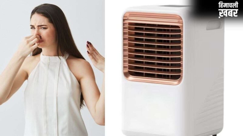 कूलर से आ रही मछली जैसी बदबू, तो अपनाकर देखें ये घरेलू नुस्खे, दूर होगी गंध