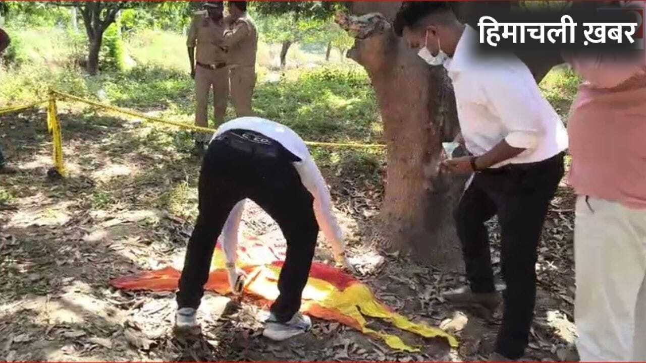 प्रतापगढ़: पेड़ पर लटका मिला 19 साल की दलित युवती का शव, प्राइवेट पार्ट पर चोट के निशान… 20 मीटर दूर मिले अंडरगार्मेंट