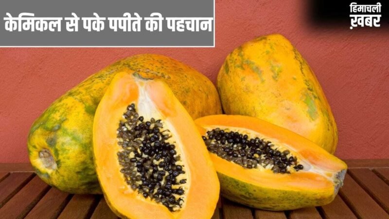 Adulteration in Papaya: केमिकल से पके हुए पपीते की कैसे करें पहचान? ये तरीके आएंगे काम