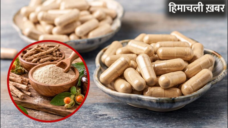 अश्वगंधा खाने वाले जान लें FSSAI की सख्त हिदायत, क्यों दवाओं पर रखी जा रही है नजर, जानिए किन बातों का ध्यान रखें