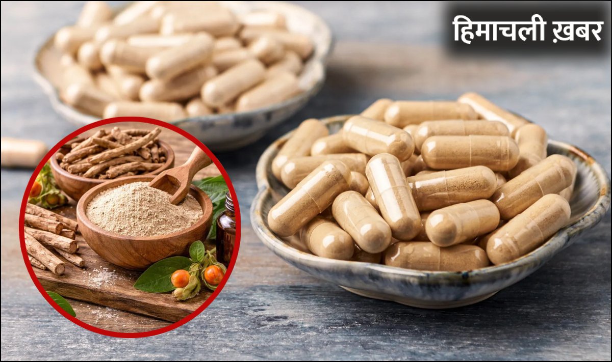 अश्वगंधा खाने वाले जान लें FSSAI की सख्त हिदायत, क्यों दवाओं पर रखी जा रही है नजर, जानिए किन बातों का ध्यान रखें