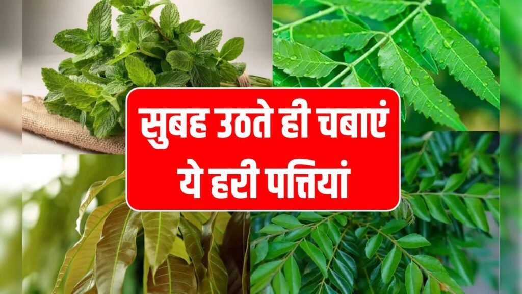 सुबह उठते ही चबाएं ये हरी पत्तियां! <span class=
