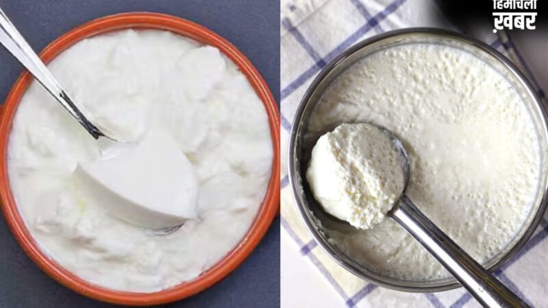 दही जमाने के लिए गर्मियों में कौन सा बर्तन बेस्ट होता है, इस ट्रिक को अपनाएं, बिल्कुल भी खट्टा नहीं जमेगा