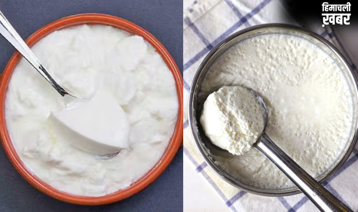 दही जमाने के लिए गर्मियों में कौन सा बर्तन बेस्ट होता है, इस ट्रिक को अपनाएं, बिल्कुल भी खट्टा नहीं जमेगा