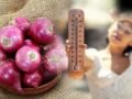 Heatstroke Myths: जेब में प्याज रखने से क्या लू से बचाव होता है? एक्सपर्ट ने दिया इसका जवाब