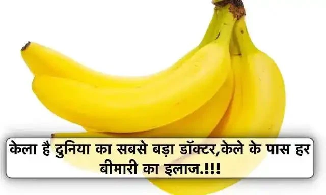 केला है दुनिया का सबसे बड़ा डॉक्टर, केले के पास हर बीमारी का इलाज,जानें एक क्लिक मे.।।