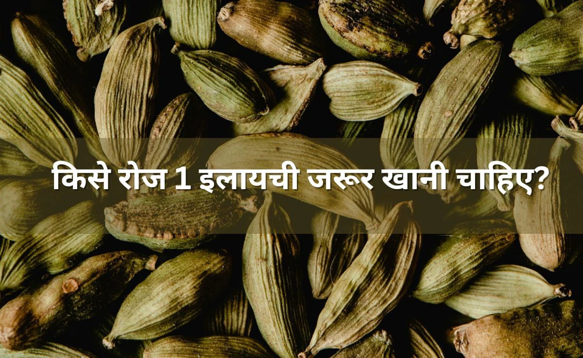 किन लोगों को रोज 1 इलाइची जरूर खानी चाहिए? डाइटीशियन ने बताए हर दिन Elaichi खाने के फायदे