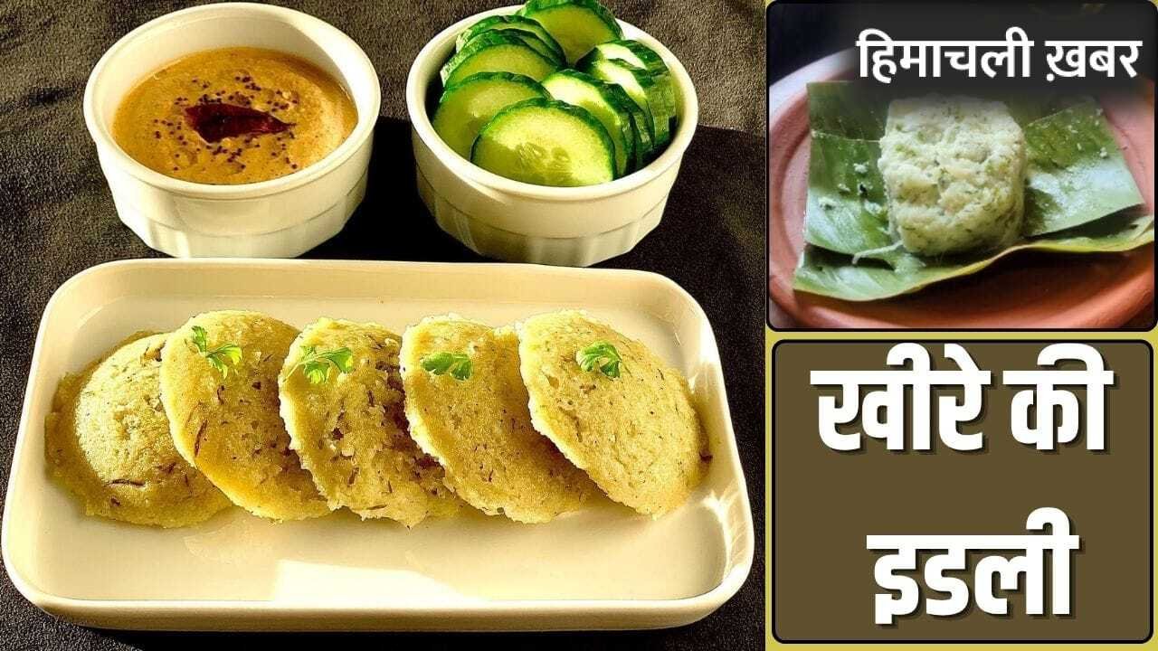पेट की दिक्कतें होंगी दूर, ताजगी भी मिलेगी…गर्मी में जरूर बनाकर खाएं खीरे की इडली