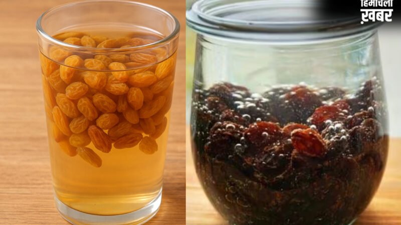 शरीर को ठंडा रखता है इस ड्राई फ्रूट का पानी, गर्मी में रोज सुबह खाली पेट पीएं, दिनभर मिलती रहेगी कूलिंग