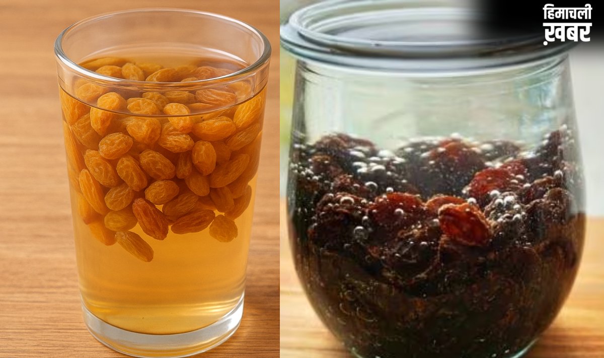 शरीर को ठंडा रखता है इस ड्राई फ्रूट का पानी, गर्मी में रोज सुबह खाली पेट पीएं, दिनभर मिलती रहेगी कूलिंग