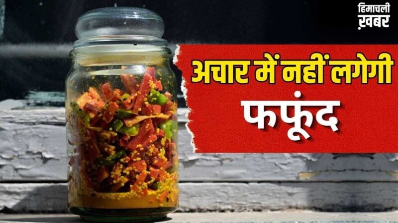 गर्मी हो या बारिश…अचार कई साल नहीं होगा खराब, जान लें ये आसान तरीके