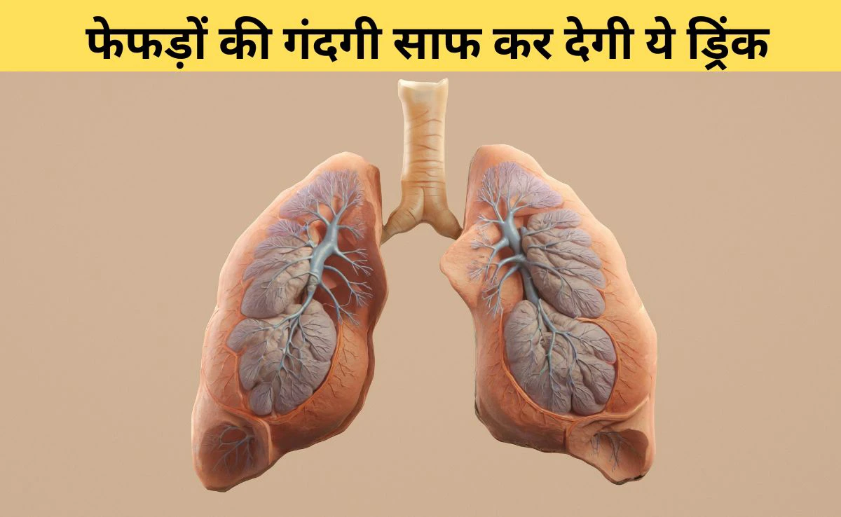 Smoking से खराब होते Lungs को नेचुरली डिटॉक्स कर देगी ये ड्रिंक, आयुर्वेदिक डॉक्टर ने बताया 3 दिन में साफ हो जाएगा फेफड़ों में जमा धुआं और बलगम