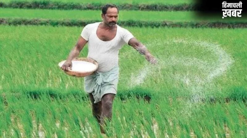 खेती-किसानी पर सरकार का बड़ा दांव! इस साल 20% बढ़ सकता है खाद सब्सिडी का बोझ, जानें खजाने पर क्या होगा असर