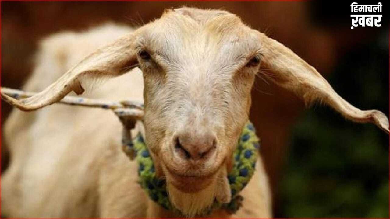 कंबल में चिपके थे बकरी के बाल… और ऐसे पकड़ा गया मासूम बच्ची का हत्यारा, पटना का सनसनीखेज मामला