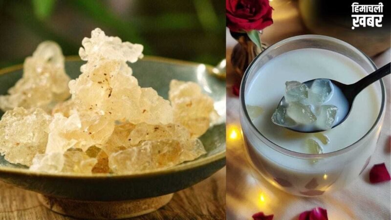 ड्रिंक ही नहीं इन 5 तरीकों से करें गोंद कतीरा का इस्तेमाल, मिलेगी गर्मी से राहत